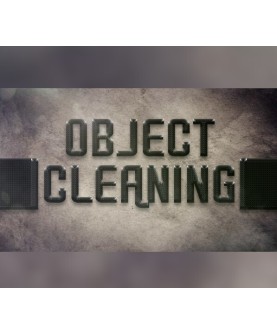 Object "Cleaning" Steam Key GLOBAL